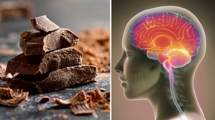 cacao y cerebro