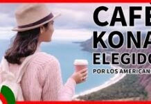 Café de Hawái: la elegancia del Kona en tierras volcánicas cafe de hawaii