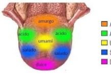 ¿Quién decide cuál es el mejor alfajor? Gusto personal vs. medallas y rankings lengua gustos