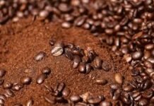 📘 Café premium vs café económico: ¿qué cambia realmente? molidos instantaneos premium