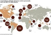 Comparativa de Países Productores de Café: ¿Qué los Hace Únicos? paises de cafe cafeteros
