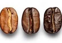 ¿Cómo Afecta el Tueste al Sabor del Arábica y del Robusta? tueste grano de cafe