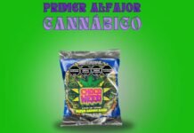 Chocoweed: el alfajor argentino con sabor a cannabis alfajor chocoweed cannabis